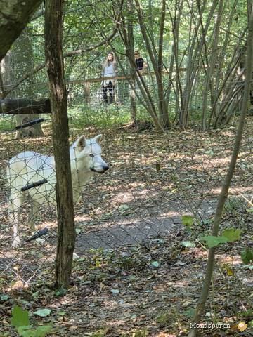 Wildpark Ernstbrunn — Foto 22